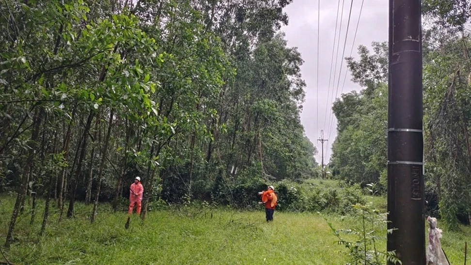 Lịch cúp điện Quảng Ngãi hôm nay ngày 29/12/2025
