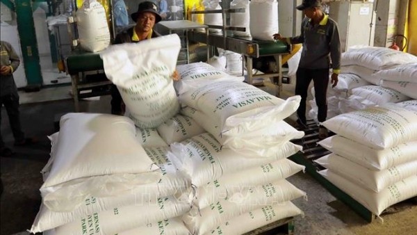Vietnam plans gradual reduction of rice exports to 4 million tonnes by 2030