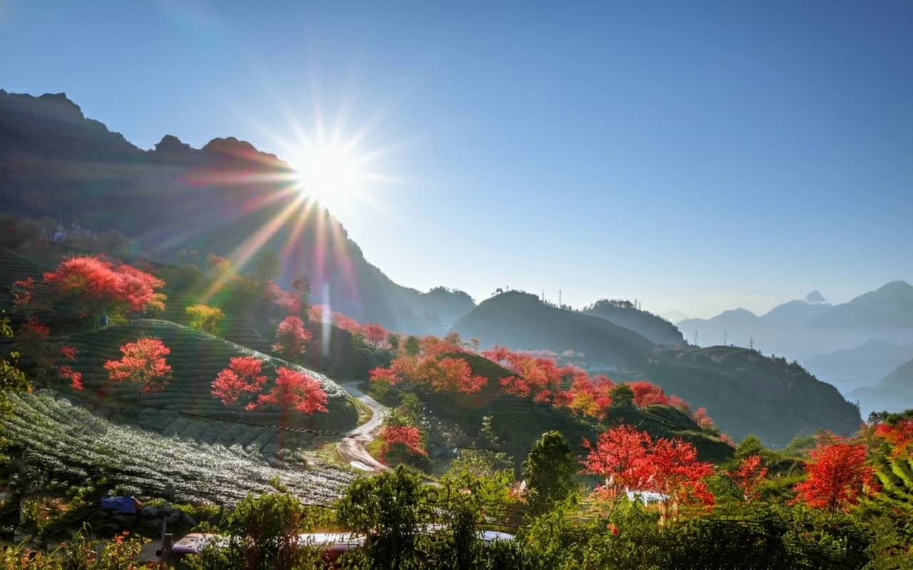 Du lịch Việt Nam và khát vọng phát triển bền vững và nâng tầm giá trị điểm đến