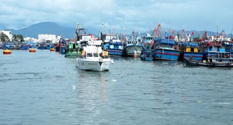 Chống khai thác IUU: Khánh Hòa Chống khai thác IUU: Khánh Hòa