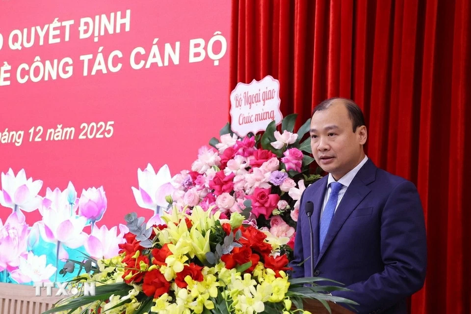 Điều động, phân công, bổ nhiệm Lê Hải Bình giữ chức Phó Giám đốc Học viện Chính trị quốc gia Hồ Chí Minh