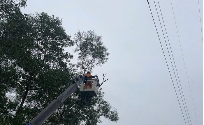 Lịch cúp điện Thành phố Huế hôm nay ngày 3/1/2026 Lịch cúp điện Thành phố Huế hôm nay ngày 3/1/2026