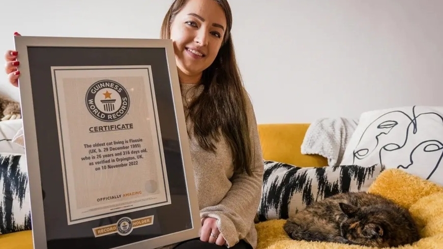 Anh: Chú mèo già nhất thế giới tròn 30 tuổi