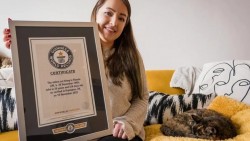 Anh: Chú mèo già nhất thế giới tròn 30 tuổi