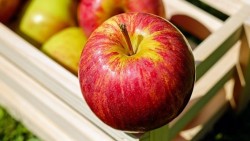 Những thực phẩm ăn trước bữa chính hỗ trợ kiểm soát cân nặng và mỡ nội tạng