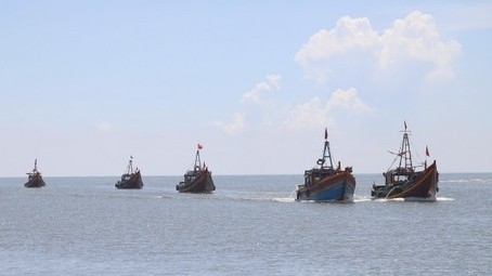 Combating IUU fishing: Nghe An steps up measures to address EC’s yellow card