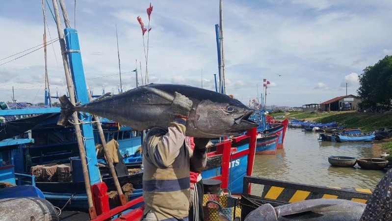 Nỗ lực tuần tra, kiểm tra và xử lý vi phạm trên biển, tạo chuyển biến căn bản trong chống khai thác IUU