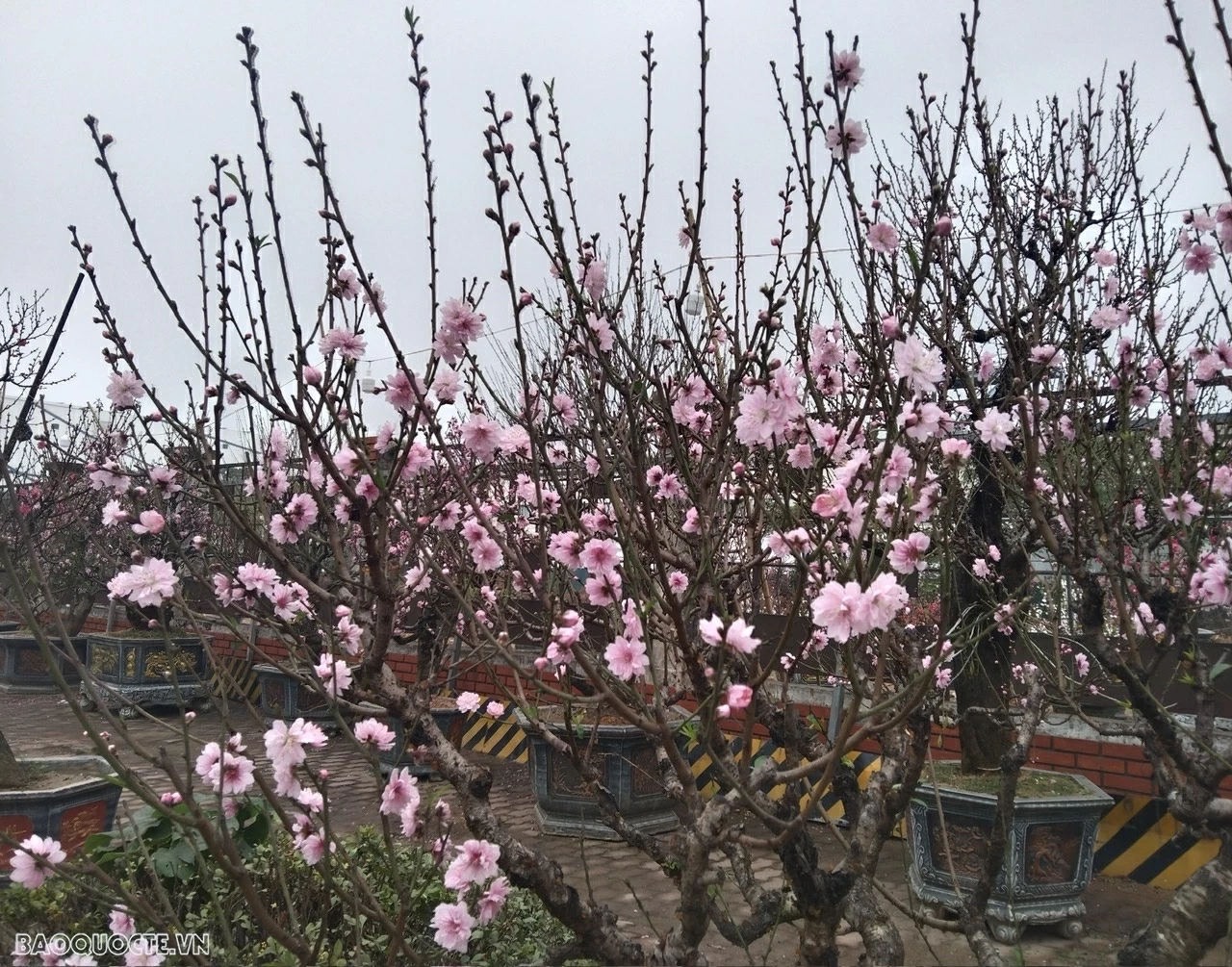 Tổ chức Tết Nguyên đán Bính Ngọ năm 2026 vui tươi, lành mạnh, an toàn, tiết kiệm Tổ chức Tết Nguyên đán Bính Ngọ năm 2026 vui tươi, lành mạnh, an toàn, tiết kiệm