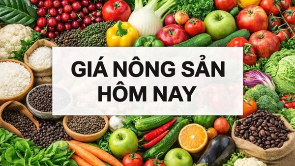 Giá nông sản hôm nay 2/1/2026: Giá cà phê lập mặt bằng mới, làn sóng dịch chuyển thói quen tiêu dùng; 3 bước chinh phục hệ thống bán lẻ Pháp
