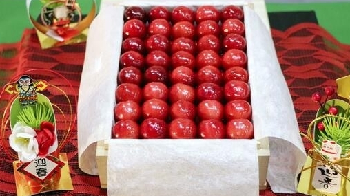 Nhật Bản: Hộp quả anh đào thượng hạng được bán với giá 1,8 triệu Yen