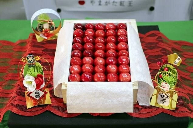 “Vua của các loài cherry Nhật Bản” gây sốt với giá kỷ lục “Vua của các loài cherry Nhật Bản” gây sốt với giá kỷ lục
