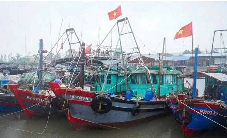 Chống khai thác IUU: Hải Phòng làm sạch dữ liệu tàu cá, Lâm Đồng thành điểm sáng