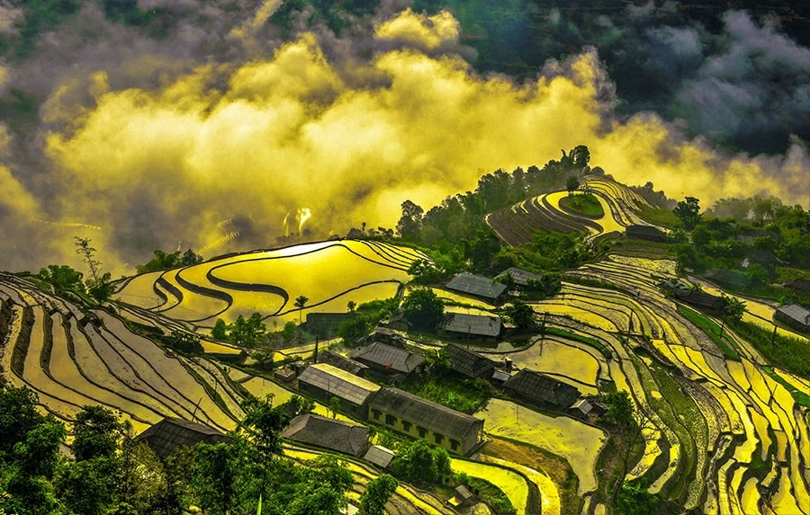 Gần 100 gôn thủ kiều bào tranh tài tại Giải Golf người Việt toàn thế giới năm 2026 Gần 100 gôn thủ kiều bào tranh tài tại Giải Golf người Việt toàn thế giới năm 2026