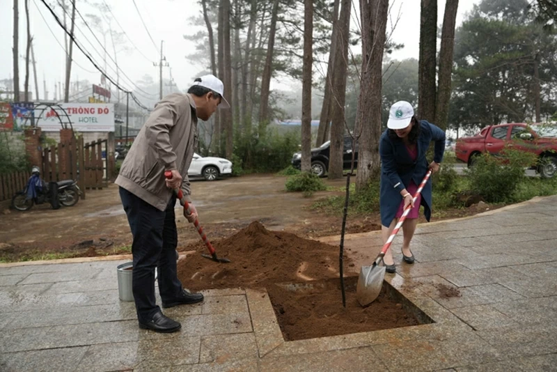 Từ Hơi thở Đại ngàn đến Sắc hồng giữa Đại ngàn; Quảng Ngãi bùng nổ chuỗi sự kiện chào Năm mới 2026 sau sáp nhập
