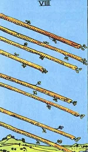 Bài tarot hôm nay: