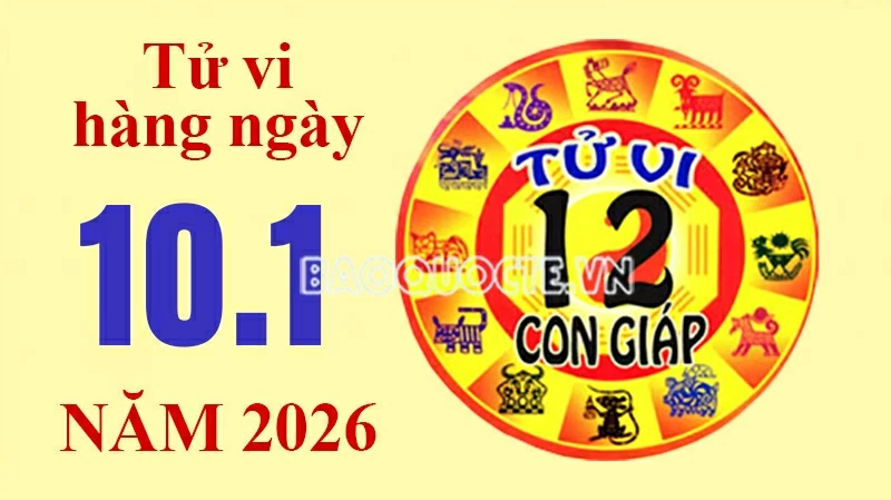 Tử vi hôm nay, xem tử vi 12 con giáp hôm nay ngày 10/1/2026: