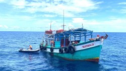 VASEP quyết 'mạnh tay' với doanh nghiệp vi phạm IUU