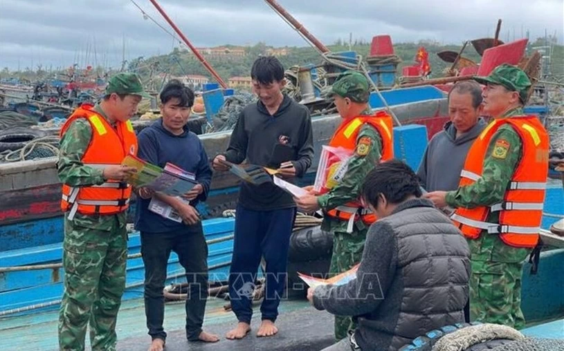 Chống khai thác IUU: Quảng Trị xử lý hình sự tàu cá vi phạm; Quảng Ninh kịp thời thực hiện giải pháp khai thác IUU hiệu quả, bền vững