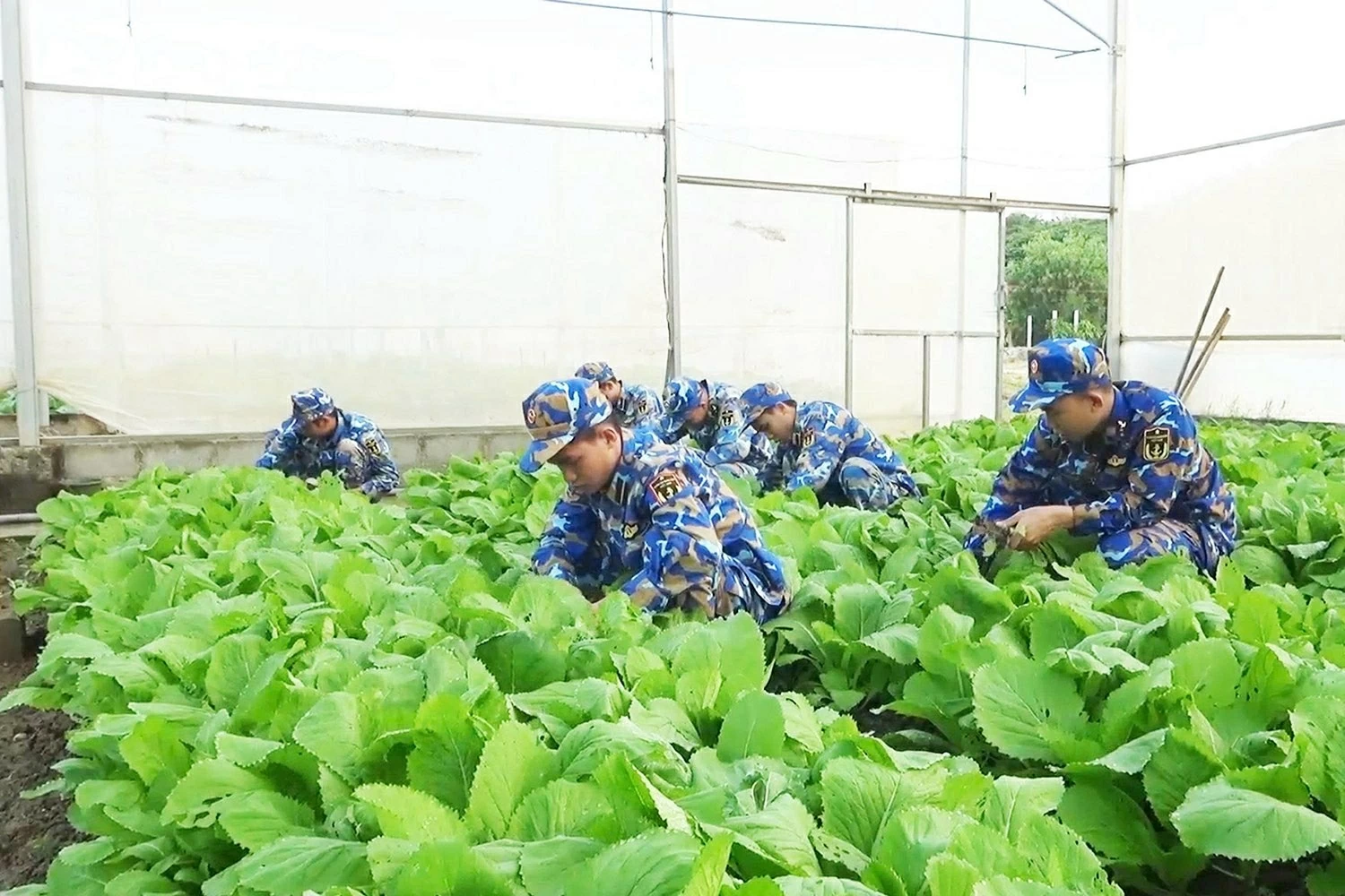 Lữ đoàn 162 – Lữ đoàn thép nơi đầu sóng Lữ đoàn 162 – Lữ đoàn thép nơi đầu sóng