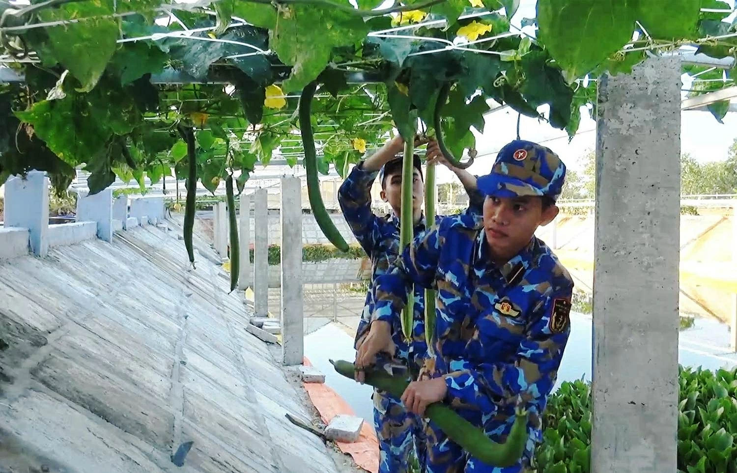 Lữ đoàn 162 – Lữ đoàn thép nơi đầu sóng Lữ đoàn 162 – Lữ đoàn thép nơi đầu sóng