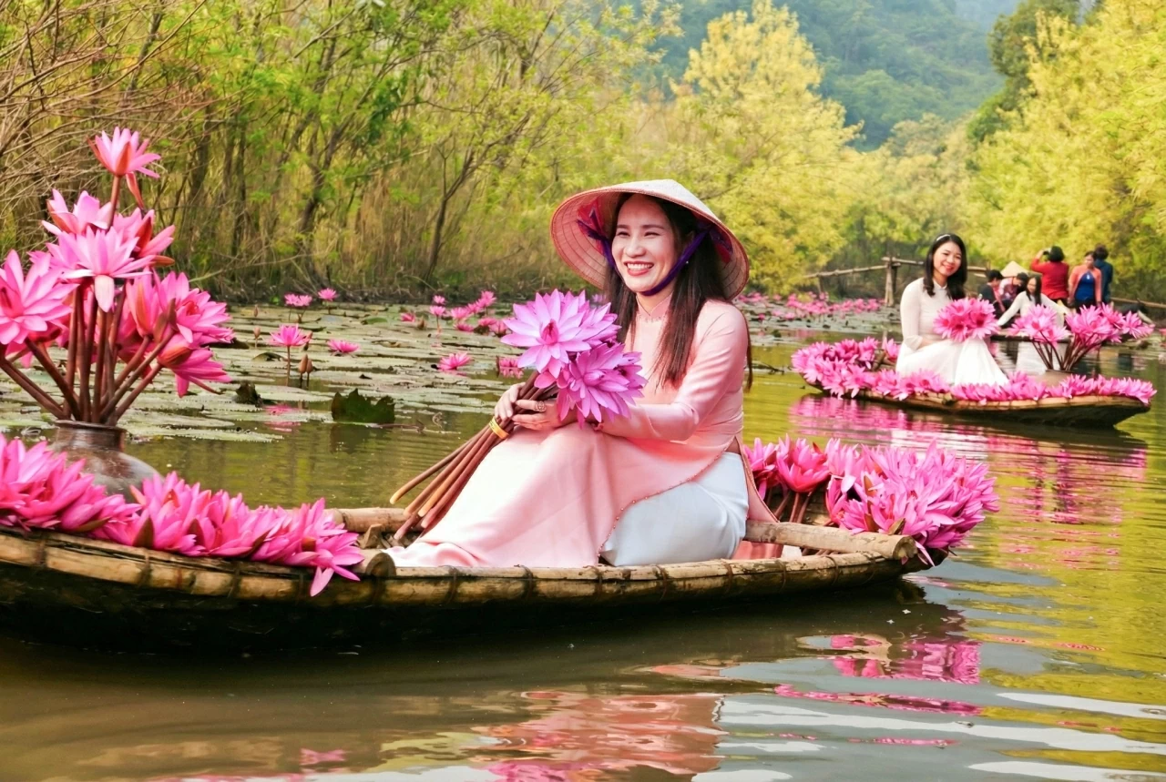 Sức hút Việt Nam