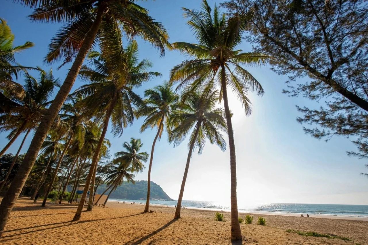 Du lịch hàng không sẽ thay đổi như thế nào trong năm 2026