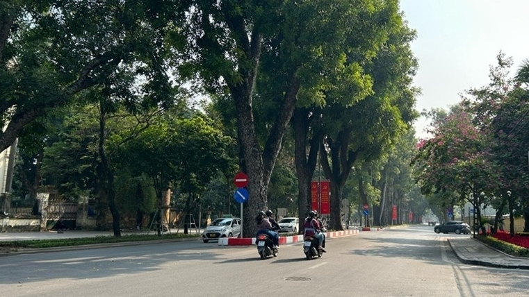 Dự báo thời tiết 10 ngày tới (10-20/1): Bắc Bộ trời rét, sáng sớm sương mù nhẹ; vùng núi rét đậm, chiều tối 15-17/1 mưa rào rải rác