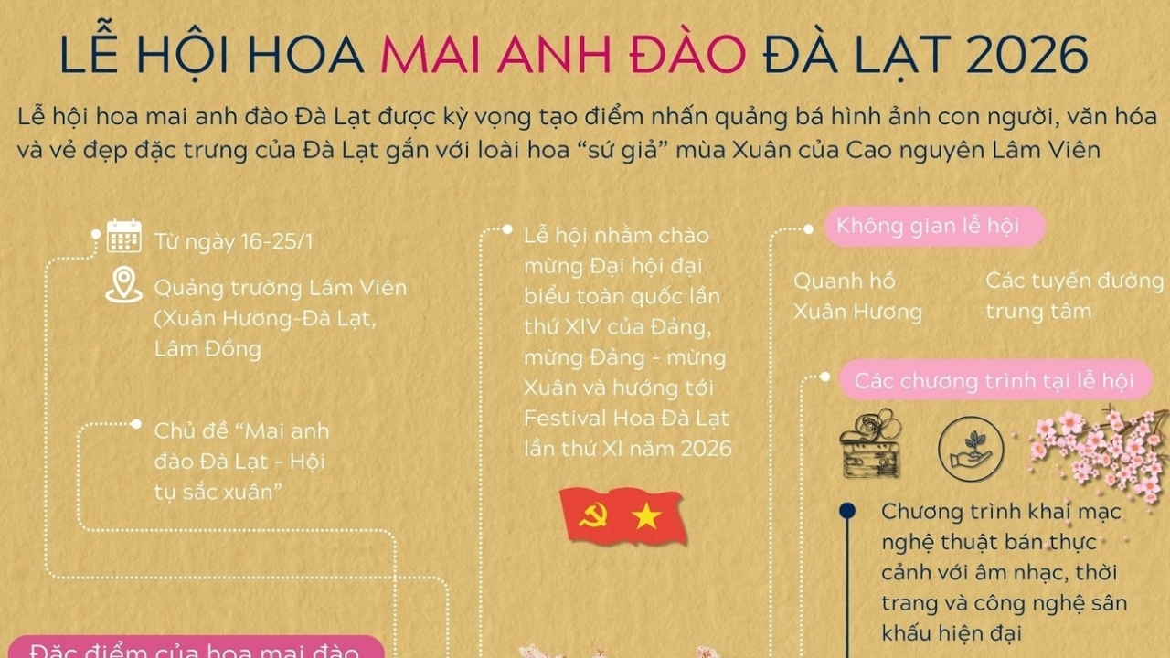 Bao giờ có Lễ hội hoa mai anh đào Đà Lạt?