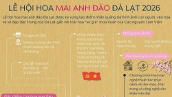 Bao giờ có Lễ hội hoa mai anh đào Đà Lạt?