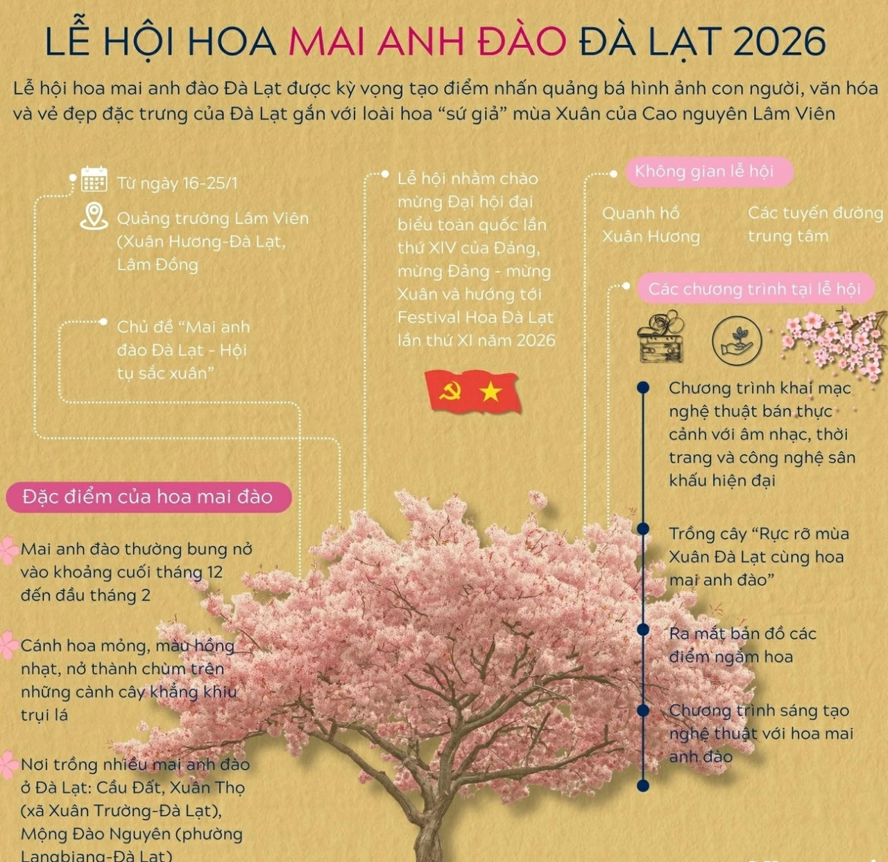 Thông tin về Lễ hội hoa mai anh đào Đà Lạt năm 2026