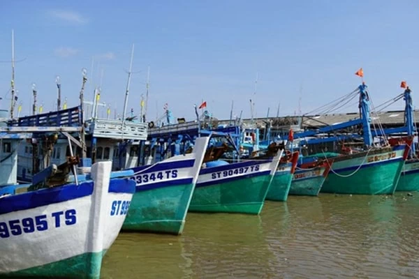 Chống khai thác IUU: 9 nội dung trọng tâm trước thời điểm đoàn thanh tra EC sang Việt Nam Chống khai thác IUU: 9 nội dung trọng tâm trước thời điểm đoàn thanh tra EC sang Việt Nam