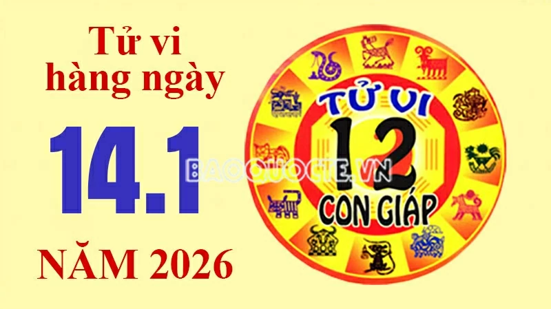 Tử vi hôm nay, xem tử vi 12 con giáp hôm nay ngày 14/1/2026: