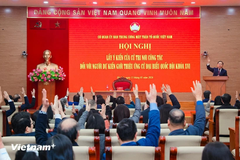 Mặt trận Tổ quốc Việt Nam nhất trí biểu quyết giới thiệu nhân sự tham gia ứng cử đại biểu Quốc hội khóa XVI
