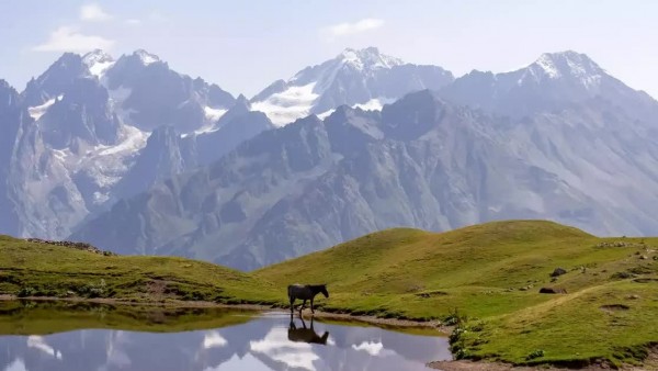 Thung lũng Pankisi - Viên ngọc phủ bụi định kiến