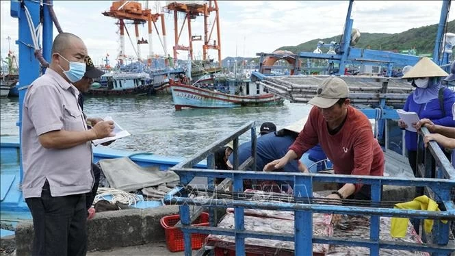 Lực lượng chức năng giám sát hoạt động đưa cá lên cảng. 