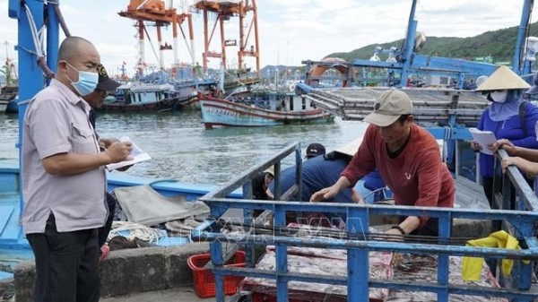 Combating IUU Fishing: All fishing vessels in Hung Yen licensed for fisheries; Gia Lai operates smart warning system