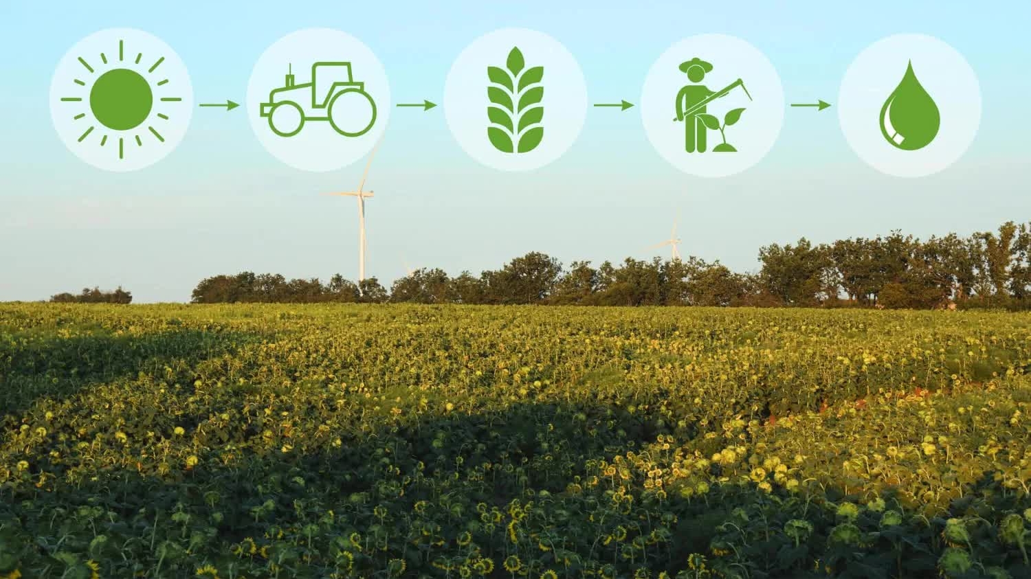 Saudi Arabia tiến 'bước chiến lược' củng cố vị thế dẫn đầu trong ngành công nghiệp Halal toàn cầu