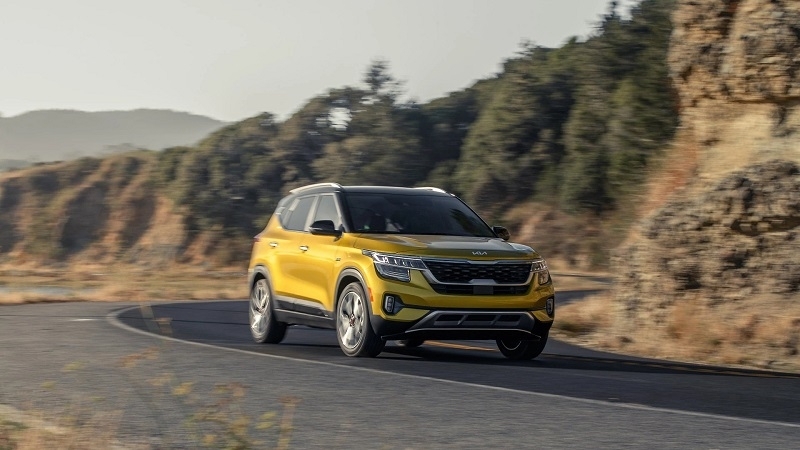 Cập nhật bảng giá xe hãng Kia mới nhất tháng 1/2026