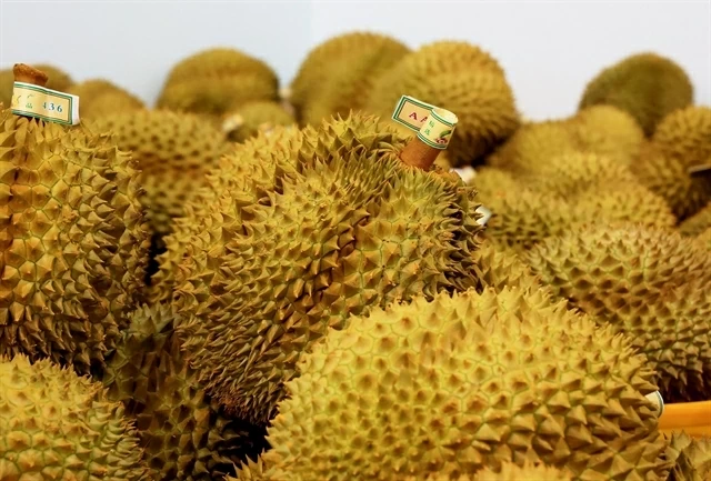 Ngoại giao kinh tế mở thị trường nông sản