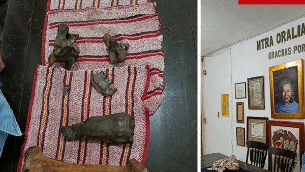 Mexico: Phát hiện hóa thạch nhiều động vật khổng lồ thời tiền sử trong hang động