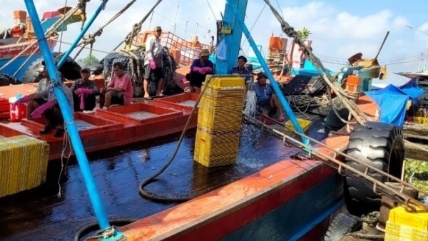 Combating IUU Fishing: Dong Thap excels with methodical and decisive approach; Quang Ninh restructures fisheries for sustainable development