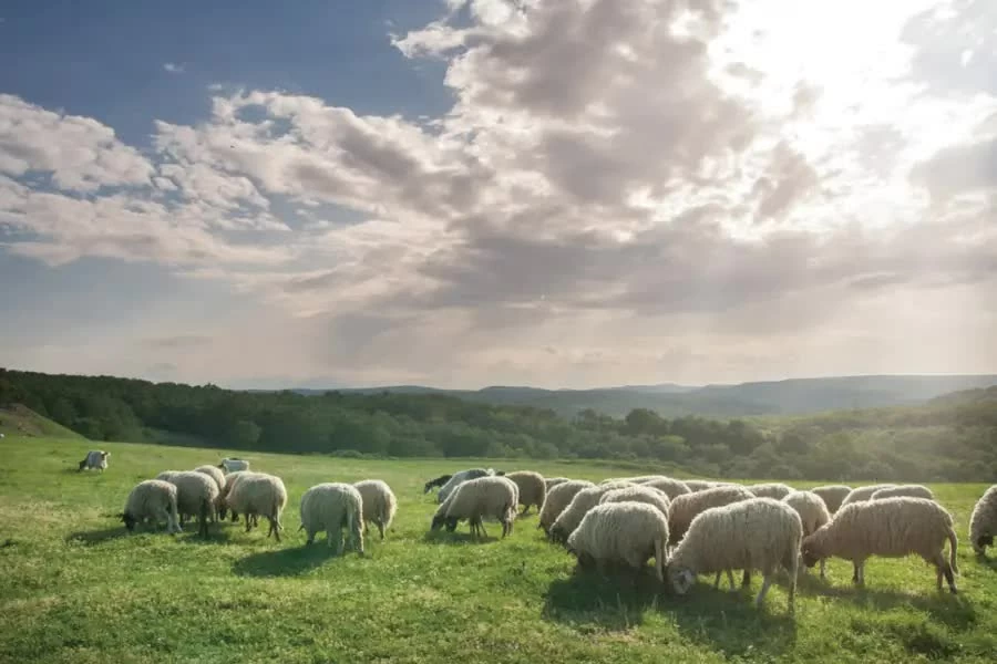 Những điểm dừng chân không thể bỏ qua khi du lịch Hồ Tràm
