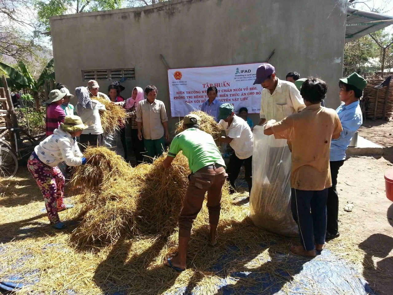 Việt Nam - IFAD ký Hiệp định RECAF: Tăng nguồn lực giảm phát thải rừng Việt Nam - IFAD ký Hiệp định RECAF: Tăng nguồn lực giảm phát thải rừng