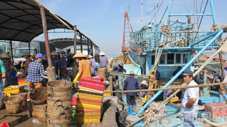 Chống khai thác IUU: Quảng Trị thành lập 2 tổ kiểm soát liên ngành bám ngư trường; Vĩnh Long kiểm soát nghiêm hoạt động tàu cá ra, vào cảng Chống khai thác IUU: Quảng Trị thành lập 2 tổ kiểm soát liên ngành bám ngư trường; Vĩnh Long kiểm soát nghiêm hoạt động tàu cá ra, vào cảng