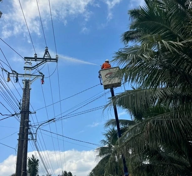 Lịch cúp điện Gia Lai hôm nay ngày 20/1/2026 Lịch cúp điện Gia Lai hôm nay ngày 20/1/2026