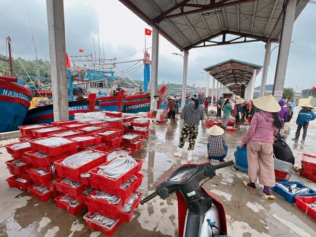 Chống khai thác IUU: Nghệ An từng bước số hóa hoạt động khai thác thủy sản; TP. Huế hỗ trợ ngư dân giải bản tàu cá 3 không
