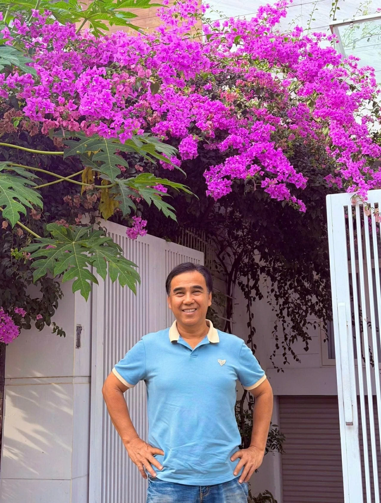 Sao Việt: Sao Việt: