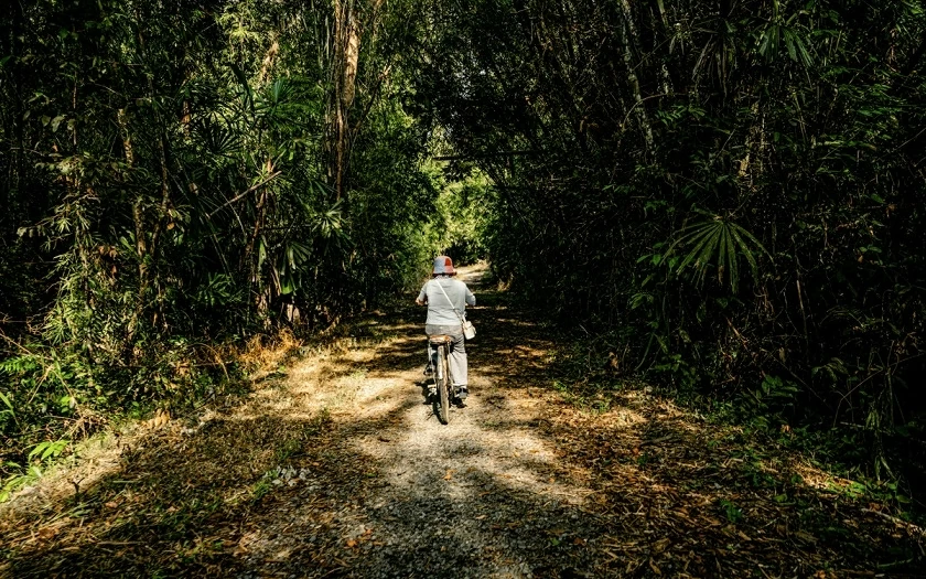 Việt Nam trước cơ hội định vị vùng đất chữa lành