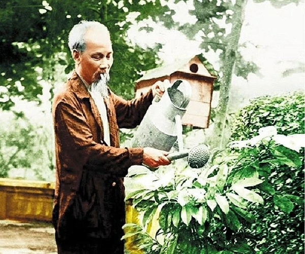 Bức ảnh Bác Hồ đang tưới nước cho cây vú sữa của đồng bào miền Nam gửi tặng Bác. (Ảnh tư liệu)