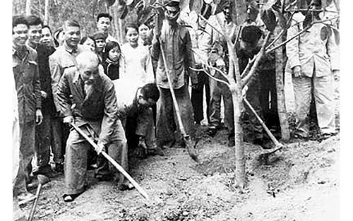 29. Số Tết: Nhớ tấm gương Người trồng cây. Bác Hồ trồng cây cùng cán bộ và nhân dân thôn Yên Bồ, xã Vật Lại, huyện Ba Vì (Hà Nội), sáng mùng 1 Tết Kỷ Dậu 1969. (Ảnh tư liệu)